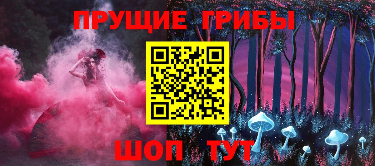 Кингисепп  Псилоцибиновые грибы прущие грибы  Вход с VPN 